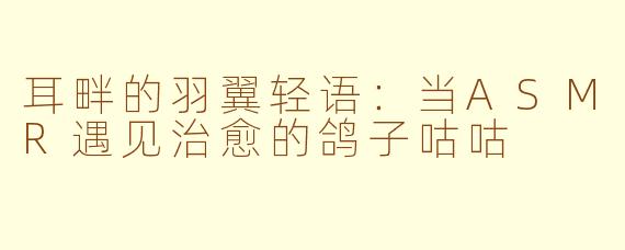 耳畔的羽翼轻语:当ASMR遇见治愈的鸽子咕咕