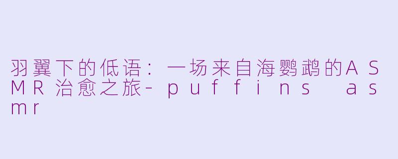 羽翼下的低语:一场来自海鹦鹉的ASMR治愈之旅-puffins asmr