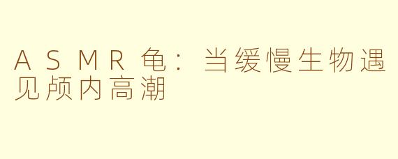 ASMR龟：当缓慢生物遇见颅内高潮