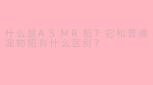 什么是ASMR貂?它和普通宠物貂有什么区别?