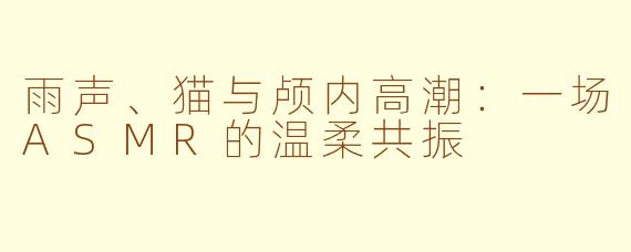 雨声、猫与颅内高潮：一场ASMR的温柔共振