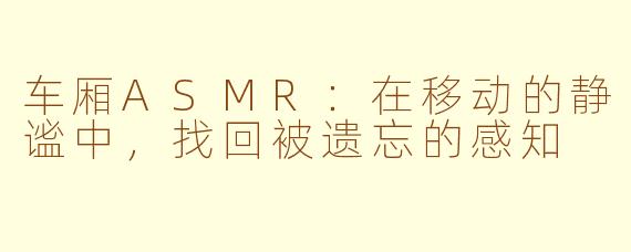 车厢ASMR:在移动的静谧中,找回被遗忘的感知