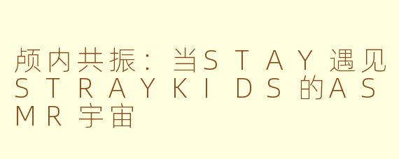 颅内共振：当STAY遇见STRAYKIDS的ASMR宇宙