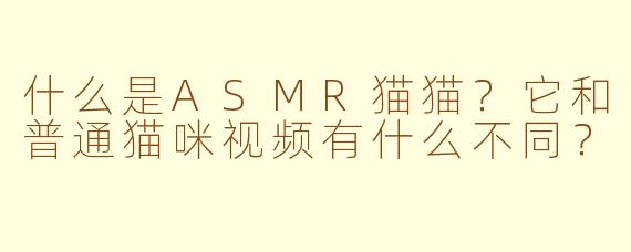 什么是ASMR猫猫?它和普通猫咪视频有什么不同?