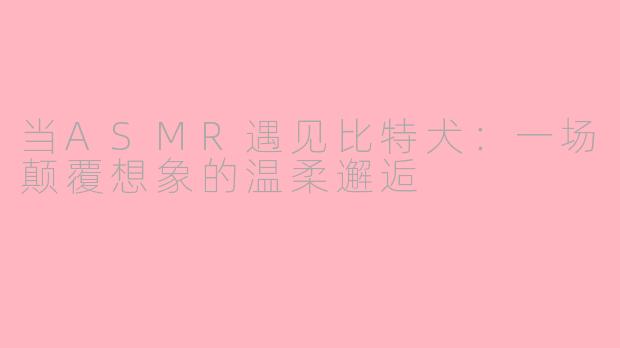 当ASMR遇见比特犬：一场颠覆想象的温柔邂逅