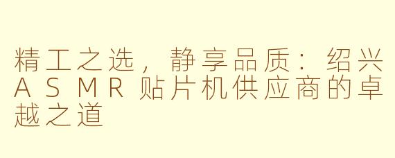 精工之选，静享品质：绍兴ASMR贴片机供应商的卓越之道