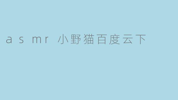 asmr小野猫百度云下