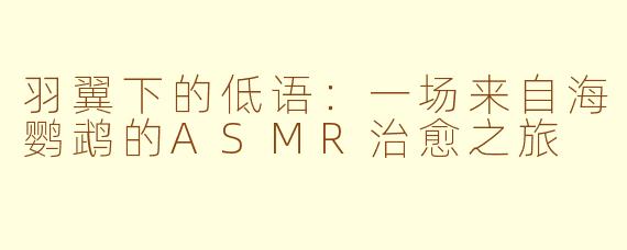 羽翼下的低语:一场来自海鹦鹉的ASMR治愈之旅