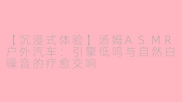 【沉浸式体验】汤姆ASMR户外汽车：引擎低鸣与自然白噪音的疗愈交响
