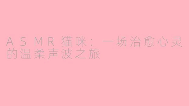 ASMR猫咪：一场治愈心灵的温柔声波之旅
