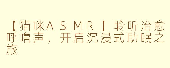 【猫咪ASMR】聆听治愈呼噜声，开启沉浸式助眠之旅