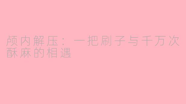 颅内解压：一把刷子与千万次酥麻的相遇