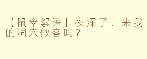 【鼠窣絮语】夜深了，来我的洞穴做客吗？