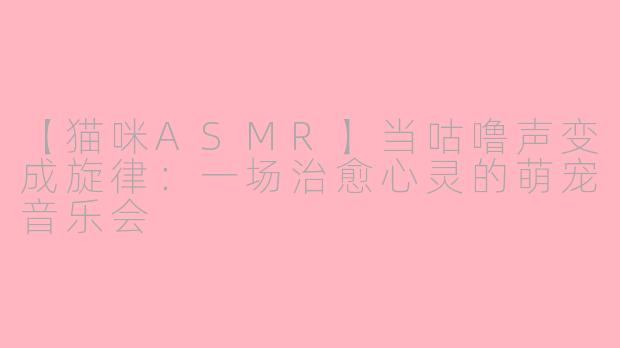 【猫咪ASMR】当咕噜声变成旋律：一场治愈心灵的萌宠音乐会