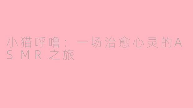 小猫呼噜：一场治愈心灵的ASMR之旅