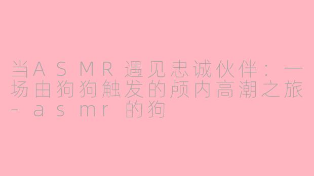 当ASMR遇见忠诚伙伴：一场由狗狗触发的颅内高潮之旅-asmr的狗