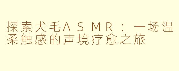 探索犬毛ASMR：一场温柔触感的声境疗愈之旅