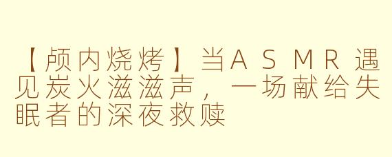 【颅内烧烤】当ASMR遇见炭火滋滋声，一场献给失眠者的深夜救赎