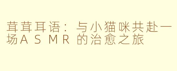 茸茸耳语：与小猫咪共赴一场ASMR的治愈之旅