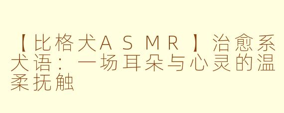 【比格犬ASMR】治愈系犬语：一场耳朵与心灵的温柔抚触