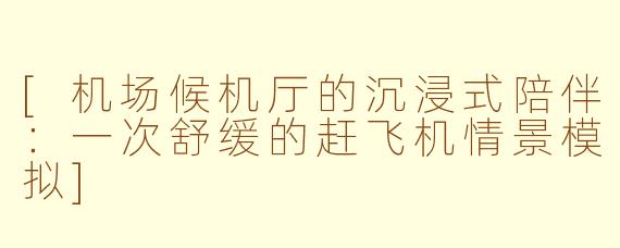 [机场候机厅的沉浸式陪伴：一次舒缓的赶飞机情景模拟]