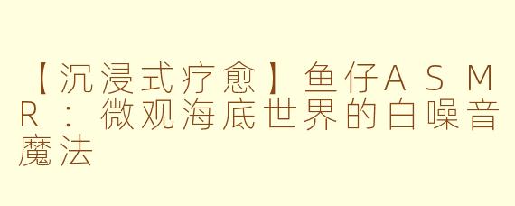 【沉浸式疗愈】鱼仔ASMR：微观海底世界的白噪音魔法