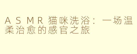 ASMR猫咪洗浴：一场温柔治愈的感官之旅