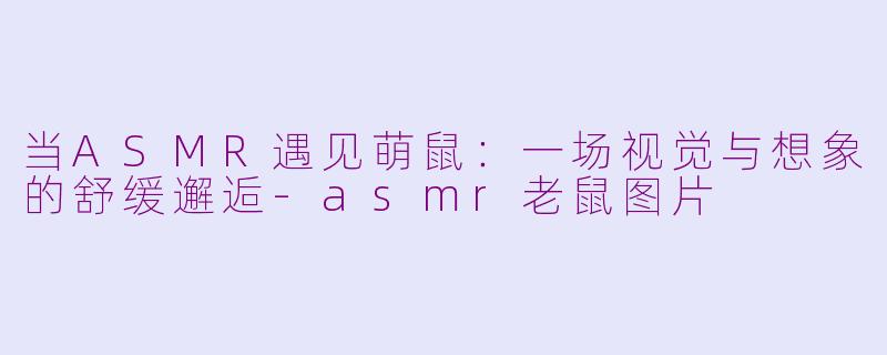 当ASMR遇见萌鼠:一场视觉与想象的舒缓邂逅-asmr老鼠图片