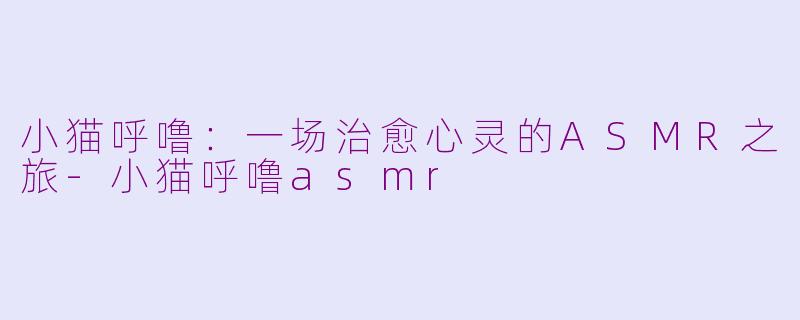 小猫呼噜：一场治愈心灵的ASMR之旅-小猫呼噜asmr