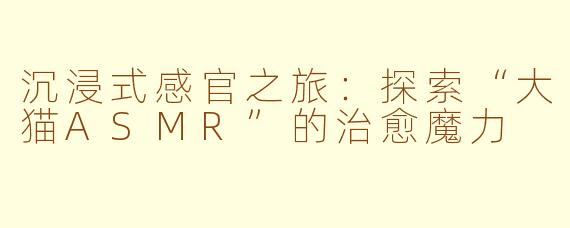 沉浸式感官之旅：探索“大猫ASMR”的治愈魔力