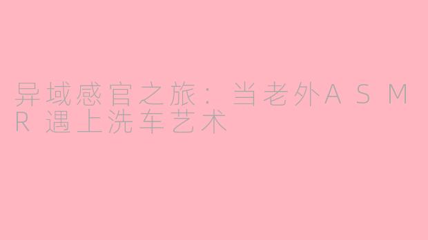 异域感官之旅：当老外ASMR遇上洗车艺术