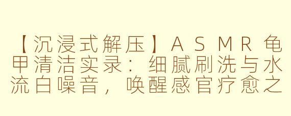 【沉浸式解压】ASMR龟甲清洁实录：细腻刷洗与水流白噪音，唤醒感官疗愈之旅