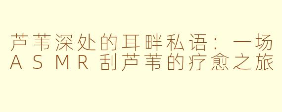 芦苇深处的耳畔私语：一场ASMR刮芦苇的疗愈之旅