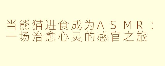 当熊猫进食成为ASMR:一场治愈心灵的感官之旅