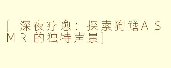 [深夜疗愈：探索狗鳝ASMR的独特声景]