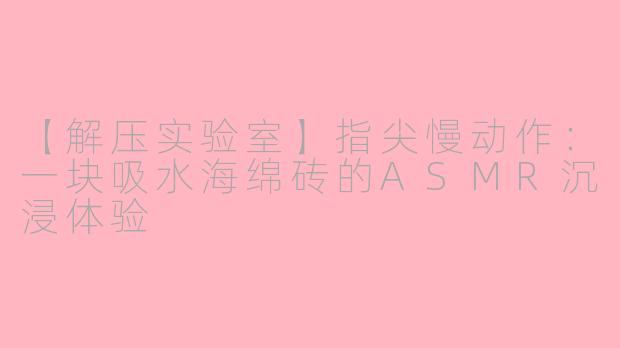 【解压实验室】指尖慢动作：一块吸水海绵砖的ASMR沉浸体验