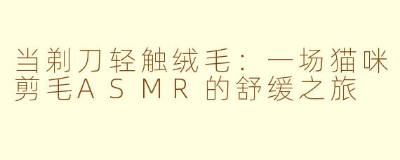 当剃刀轻触绒毛：一场猫咪剪毛ASMR的舒缓之旅