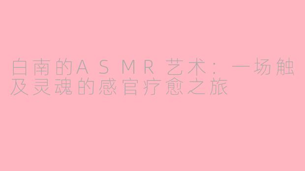 白南的ASMR艺术：一场触及灵魂的感官疗愈之旅