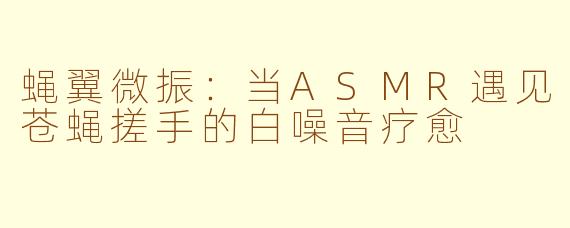蝇翼微振:当ASMR遇见苍蝇搓手的白噪音疗愈