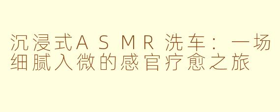 沉浸式ASMR洗车:一场细腻入微的感官疗愈之旅