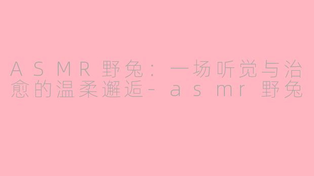 ASMR野兔：一场听觉与治愈的温柔邂逅
