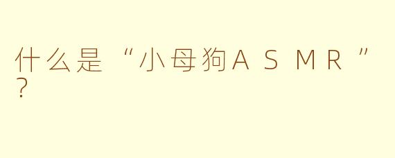 什么是“小母狗ASMR”？