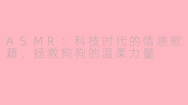 ASMR：科技时代的情感慰藉，拯救狗狗的温柔力量