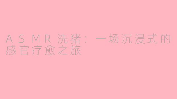 ASMR洗猪：一场沉浸式的感官疗愈之旅