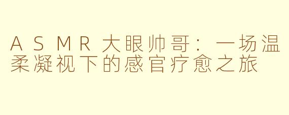 ASMR大眼帅哥:一场温柔凝视下的感官疗愈之旅