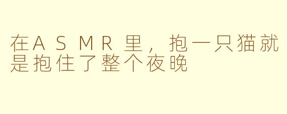 在ASMR里，抱一只猫就是抱住了整个夜晚