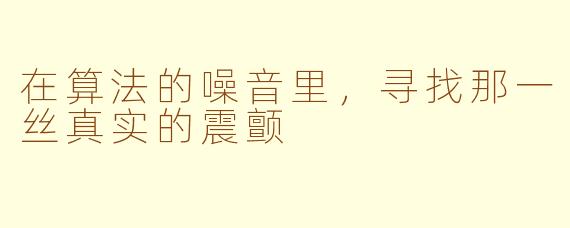 在算法的噪音里,寻找那一丝真实的震颤