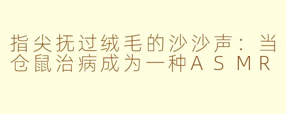 指尖抚过绒毛的沙沙声：当仓鼠治病成为一种ASMR