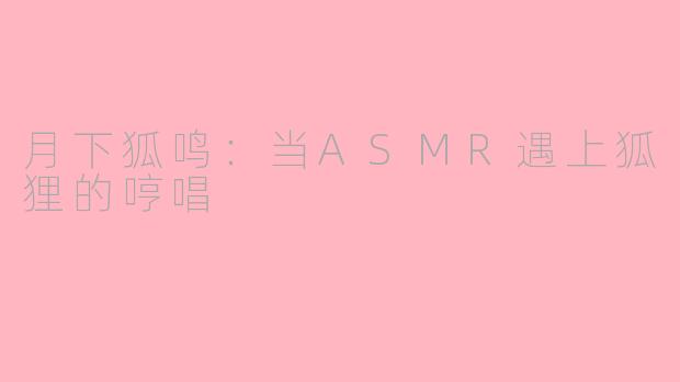 月下狐鸣：当ASMR遇上狐狸的哼唱