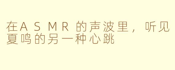 在ASMR的声波里，听见夏鸣的另一种心跳